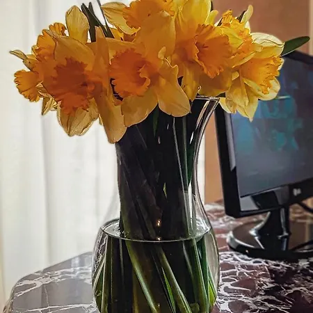 эдуард Отель Ужгород