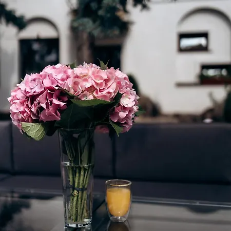 Отель эдуард 3*